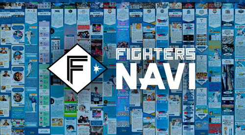 FIGHTERS NAVI